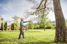 Best Hedge Trimming  in Kensington, MD